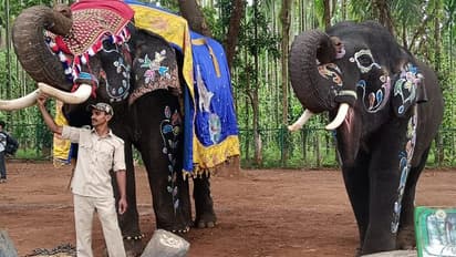 ಸಕ್ರೆಬೈಲಿನಲ್ಲಿ ವಿಶ್ವ ಆನೆಗಳ ದಿನಾಚರಣೆ: ವಿಶಿಷ್ಟವಾಗಿ ಸಿಂಗಾರಗೊಂಡ ಗಜಪಡೆ!