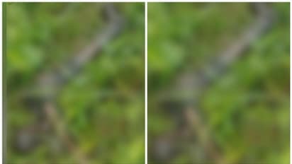 മൃതദേഹഭാഗം കത്തിക്കരിഞ്ഞ നിലയിൽ കണ്ടെത്തി