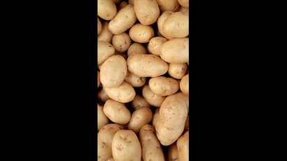 இஞ்சிக்கு போட்டியாக அதிகரிக்கும் வெங்காயம் விலை.! தக்காளி விலை குறைந்ததா.? கோயம்பேட்டில் காய்கறி விலை நிலவரம்?