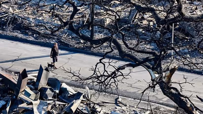 Deciphered: Unraveling the origins behind Hawaii's devastating wildfires