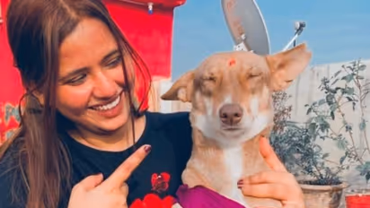 Charu Khare helps homeless animals find a forever loving home 