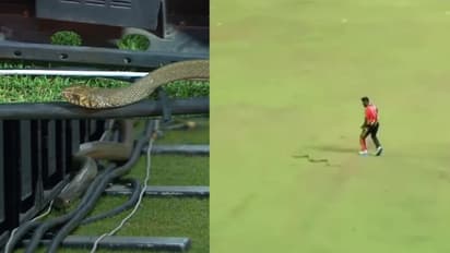 Snake Intrusions in LPL 2023: Isuru Udana's close call amidst cricket action