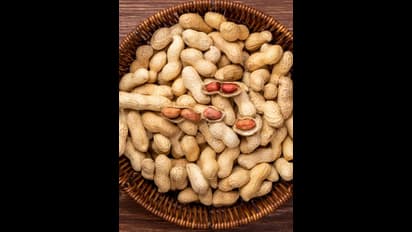 National Peanut Day 2023: Crunch into celebration