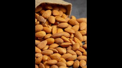  చలికాలంలో బాదం పప్పులను తినకూడదా? 