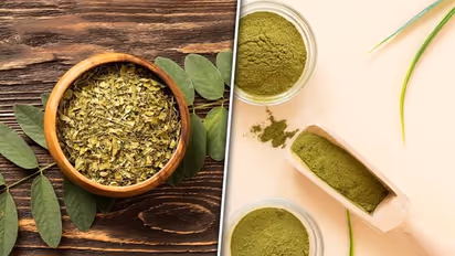 Weight loss to skin health: Know 6 amazing benefits of moringa powder