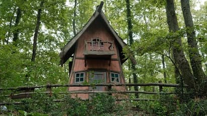 Discover enchanting treehouses of south India: Unique bond with nature's mystique