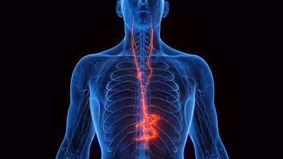 Everything to know about 'Vagus Nerve' and how it benefits you