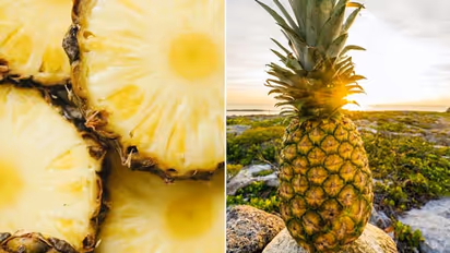 Illuminating to hydrating: 7 skin benefits of Pineapple