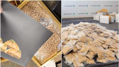  മധുര പലഹാരങ്ങൾക്കിടയിൽ രഹസ്യമായി ഒളിപ്പിച്ചു; വൻ മയക്കുമരുന്ന് വേട്ട, 23 ലക്ഷത്തോളം ലഹരി ഗുളികകൾ പിടികൂടി