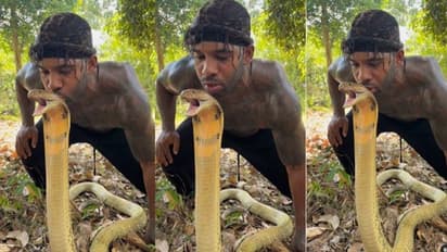 ಹಾವಿಗೆ ಮುತ್ತಿಕ್ಕಿದ ಯುವಕನ ವೀಡಿಯೋ ವೈರಲ್: ಹಾವು ವಾಪಸ್ ಮುತ್ತಿಟ್ರೆ ಕತೆ ಏನು?