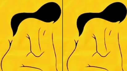 ಫೋಟೋ ನೋಡಿದ ತಕ್ಷಣ ನಿಮಗೇನ್ ಕಾಣ್ಸುತ್ತೆ, ಪುರುಷನ ಮುಖಾನ, ಮಹಿಳೆನಾ?