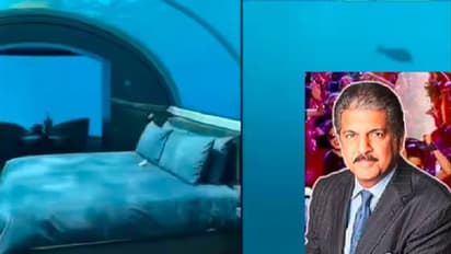 ವಿಶ್ವದ ಮೊದಲ ಸಮುದ್ರದಾಳದ ಹೊಟೇಲ್ ಇದು: ವೀಡಿಯೋ ಶೇರ್ ಮಾಡಿದ ಆನಂದ್ ಮಹೀಂದ್ರಾ ಹೇಳಿದ್ದೇನು?