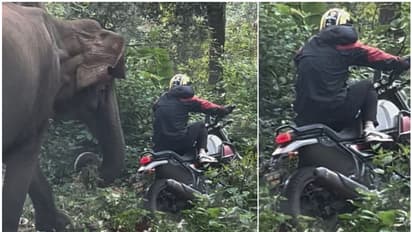 വീണുകിടന്ന ബൈക്ക് ഉയര്ത്തുന്നതിനിടെ തൊട്ടുപിന്നിൽ കലിയോടെ കാട്ടാന; അത്ഭുതകരമായി രക്ഷപ്പെട്ട് യുവാക്കള് -വീഡ