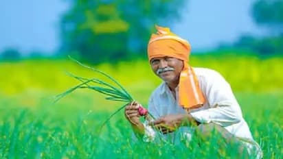 రైతులకు గుడ్ న్యూస్.. రుణమాఫీపై కీలక ప్రకటన.. ఒకే విడతలో..