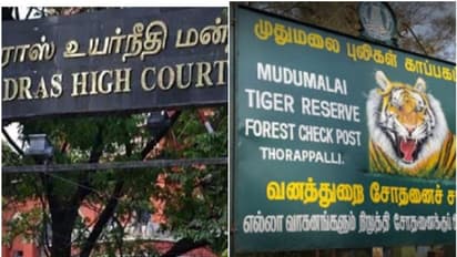 'ഭയം കൂടാതെ ജീവിക്കാൻ മൃഗങ്ങൾക്കും അവകാശം ഉണ്ട്,കടുവസങ്കേത്തോട് ചേര്ന്നുള്ള കുടുംബങ്ങളെ മാറ്റിപാർപ്പിക്കണം'