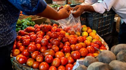 Tomato Price : திடீரென பாதியாக குறைந்த தக்காளி விலை.! கோயம்பேட்டில் ஒரு கிலோ இவ்வளவு தானா.?