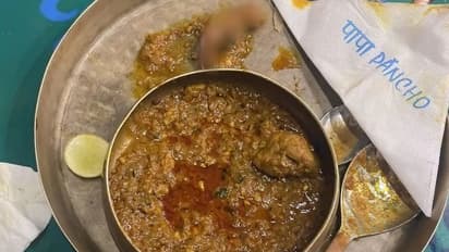 Shocking! Mumbai restaurant faces legal action after customer finds rat in chicken curry - WATCH
