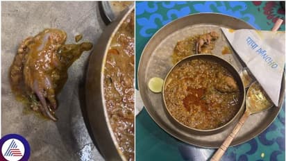 ஹோட்டலில் வாங்கிய உணவில் இறந்த எலி இருந்ததால் வாடிக்கையாளர் அதிர்ச்சி..
