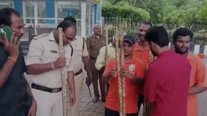 భక్తుల కోసం కర్రలు సిద్దమట... ఇక చిరుతల్ని తరమడమేనా...: టిటిడి నిర్ణయంపై ట్రోలింగ్.. (వీడియో)