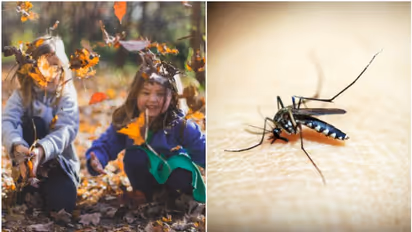 6 ways to Safeguard Children from Mosquitoes during Outdoor adventures