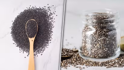 Chia vs. basil Seeds: Are they same? Know this interesting FACT