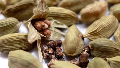 ഏലയ്ക്ക കഴിക്കുന്നത് വണ്ണം കുറയ്ക്കാന് സഹായിക്കുമോ?