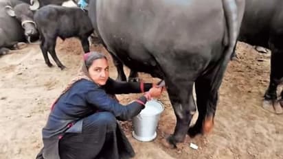 ‘வந்தேண்டா பால்காரி’... வருஷத்துக்கு ரூ.2 கோடி சம்பாதிக்கும் பெண்!