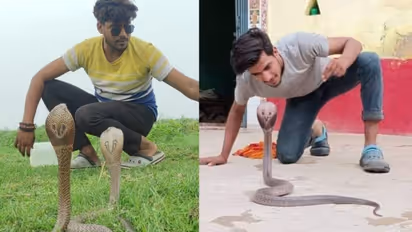 उम्र 19 साल, 200 सांप ने डसा-कोबरा ने काटा तो 3 महीना रहे बिस्तर पर, फिर भी 4000 सांपों को किया रेस्क्यू