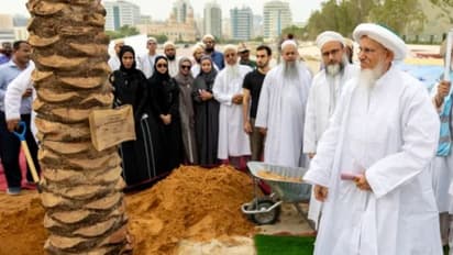 దుబాయ్ లో దేశీయ ఖర్జూర సాగు..