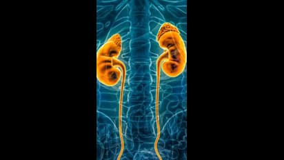 குளிர்காலத்தில் உங்கள் இதயத்தை மட்டுமல்ல, சிறுநீரகங்களையும் பாதுகாப்பாக வைப்பது அவசியம்!