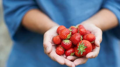 സ്ട്രോബെറിയുടെ അധികമാർക്കും അറിയാത്ത 10 അത്ഭുത ഗുണങ്ങൾ