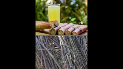   షుగర్ కేన్ జ్యూస్ మంచిదే కానీ.. వాళ్లకు మాత్రం కాదు.!