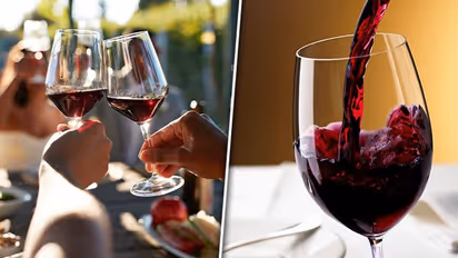 National Pinot Noir Day 2023: Date, history, significance