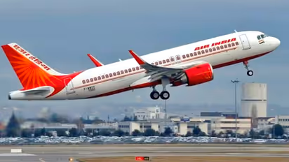 Unappetizing Surprise: Cockroach found in Air India meal leaves Bengaluru flyer disgusted