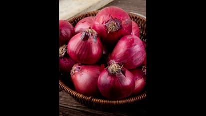 வெங்காயம் ஏற்றுமதிக்கு 40 சதவீத வரி! டிசம்பர் வரை உள்நாட்டுத் தேவையை சமாளிக்க நடவடிக்கை