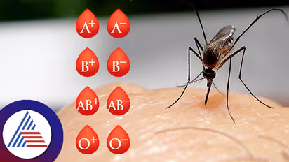 ನನ್ಗೆ ಮಾತ್ರ ಸೊಳ್ಳೆ ಯಾಕೆ ಜಾಸ್ತಿ ಕಚ್ಚುತ್ತೆ ಅನ್ನೋ ಡೌಟಾ, ಬ್ಲಡ್ ಗ್ರೂಪ್ ಯಾವ್ದು ಚೆಕ್ ಮಾಡ್ಕೊಳ್ಳಿ