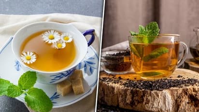 Green Tea Vs Herbal Tea: What's the difference? Know their health benefits