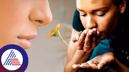 Health Tips: ಮೂಗಿಗೆ ವಾಸನೆ ಬರ್ತಿಲ್ಲ ಅಂತಾ ಸುಮ್ನಿರಬೇಡಿ.. ಅಪಾಯವಾಗ್ಬಹುದು! 