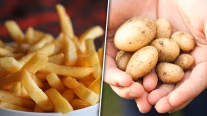 National Potato Day 2023: Date, history, significance