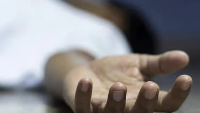 திருப்பூர் அருகே பயங்கர விபத்து; தூக்கி வீசப்பட்டு உயிரிழந்த கட்டிட தொழிலாளி; சிசிடிவி காட்சி வைரல்!!