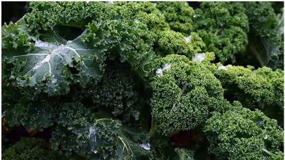 Belly fat reduction: 5 Green Vegetables to get rid of those inches