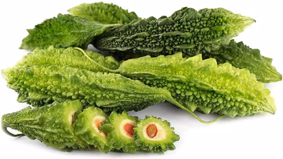 Bitter Gourd