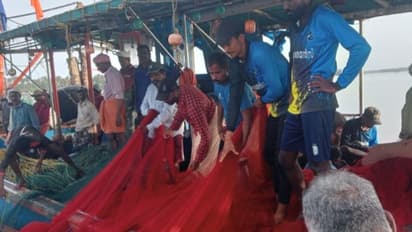 അന്പതോളം മത്സ്യത്തൊഴിലാളികളുടെ ഉപജീവനം വഴിമുട്ടിച്ച് ക്രൂരത; പൊലീസ് അന്വേഷണം തുടങ്ങി