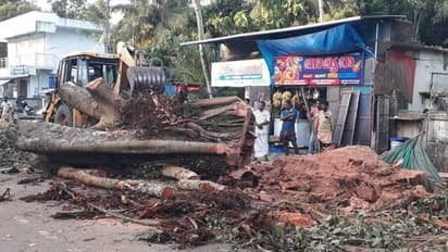അപകടാവസ്ഥയിലായിട്ട് ഏറെ നാള്‍, ചൂളത്തെരുവ് ജംഗ്ഷനിലെ ഇരട്ട ആൽമരം ഒടുവില്‍ മുറിച്ച് നീക്കി