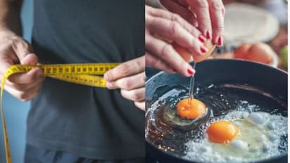 മുട്ട ഇങ്ങനെ കഴിക്കൂ, വണ്ണം എളുപ്പം കുറയ്ക്കാം