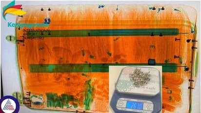 ಚಿನ್ನದ ಟ್ರಾಲಿ ಬ್ಯಾಗ್ ತಂದ ದುಬೈ ಪ್ರಯಾಣಿಕ: ನಟ್ಟು, ಬೋಲ್ಟ್, ಸ್ಕ್ರೂ ಎಲ್ಲವೂ ಪ್ಯೂರ್ ಗೋಲ್ಡ್