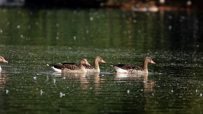 தமிழ்நாடு உள்பட 8 மாநிலங்கள் அமிர்த சரோவர் திட்ட இலக்கை எட்டவில்லை: மத்திய அரசு தகவல்