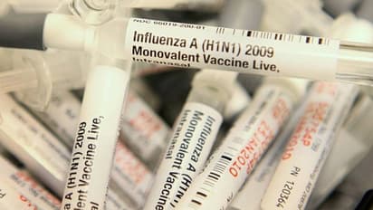 കണ്ണൂരില്‍ ആഫ്രിക്കൻ പന്നിപ്പനി; ഇത് മനുഷ്യര്‍ക്ക് ഭീഷണിയോ?