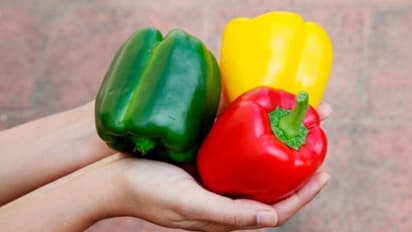 വീട്ടില് ക്യാപ്സിക്കം ഉപയോഗിക്കാറുണ്ടോ? എങ്കില് ഈ വീഡിയോ ഒന്ന് കണ്ടുനോക്കൂ...