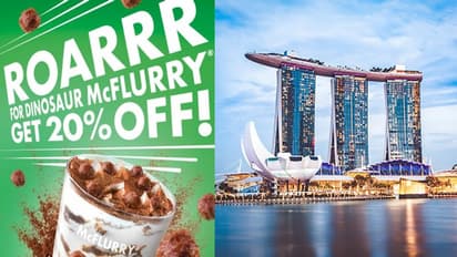 விசித்திர தள்ளுபடி.. டைனோசர் போல கத்திய நபர் - எட்டிப்பார்த்து Offer முடிஞ்சுட்டு கிளம்பு என்று சொன்ன பாட்டி!